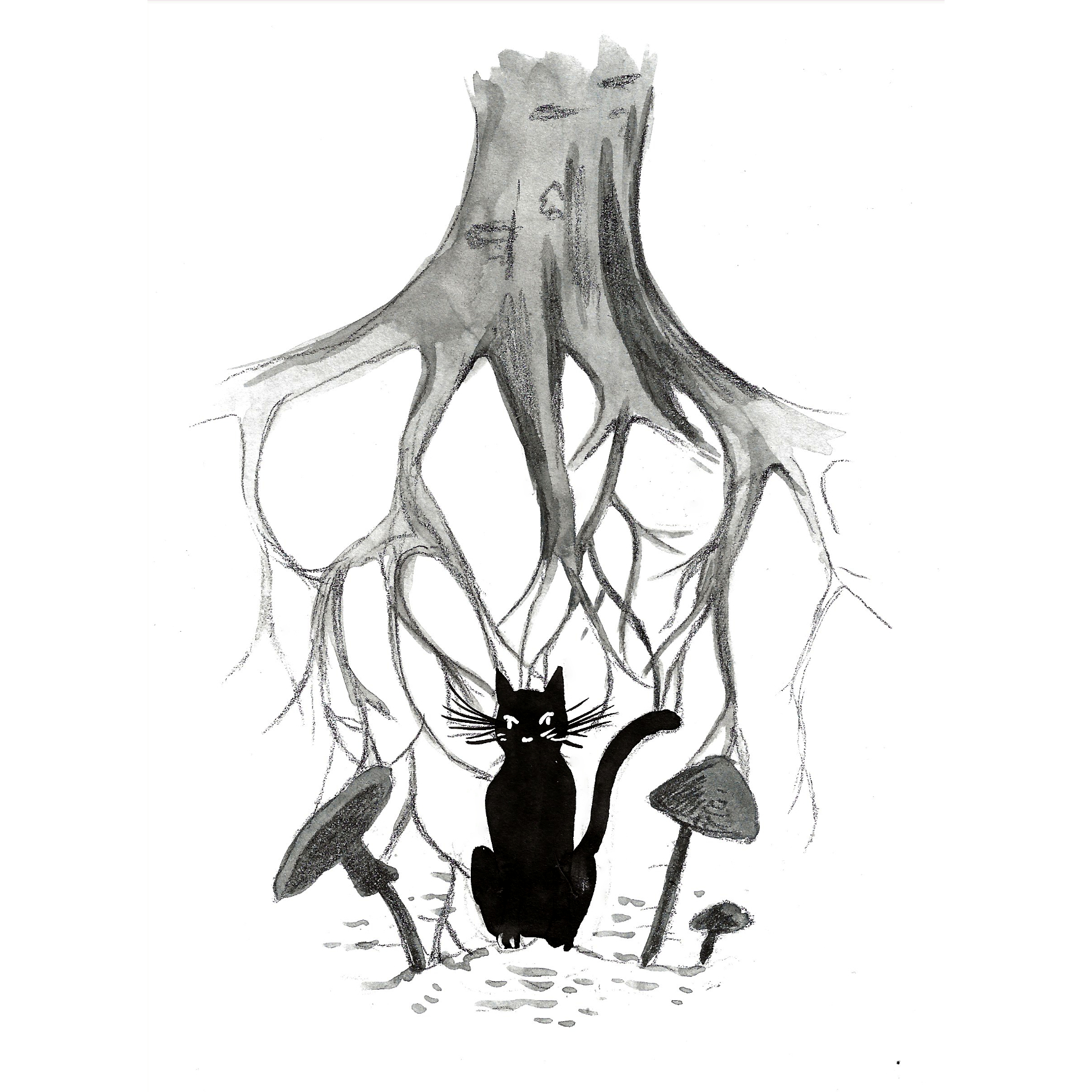 Moritz - illustration Marine Gauvain