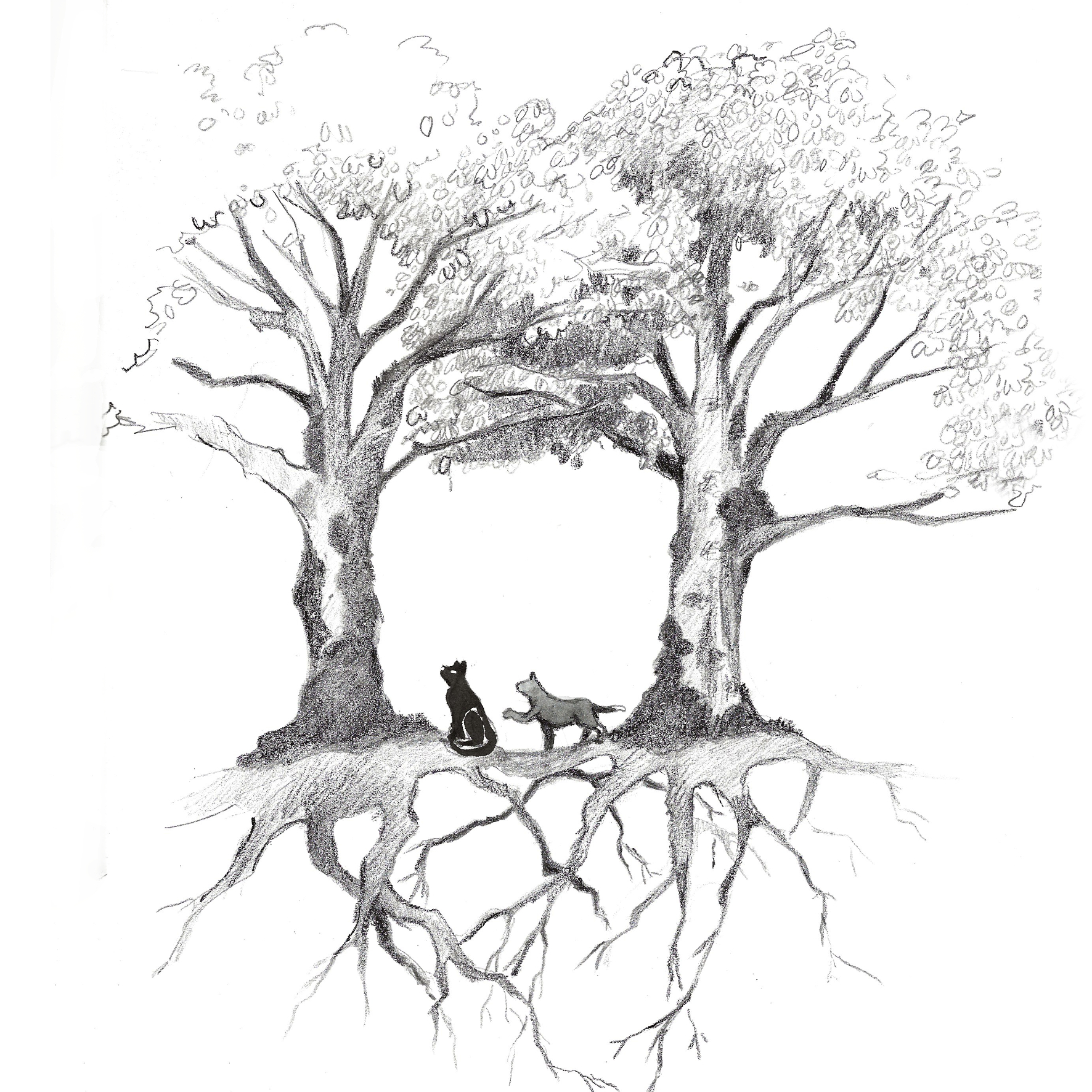 Moritz - Illustration Marine Gauvain