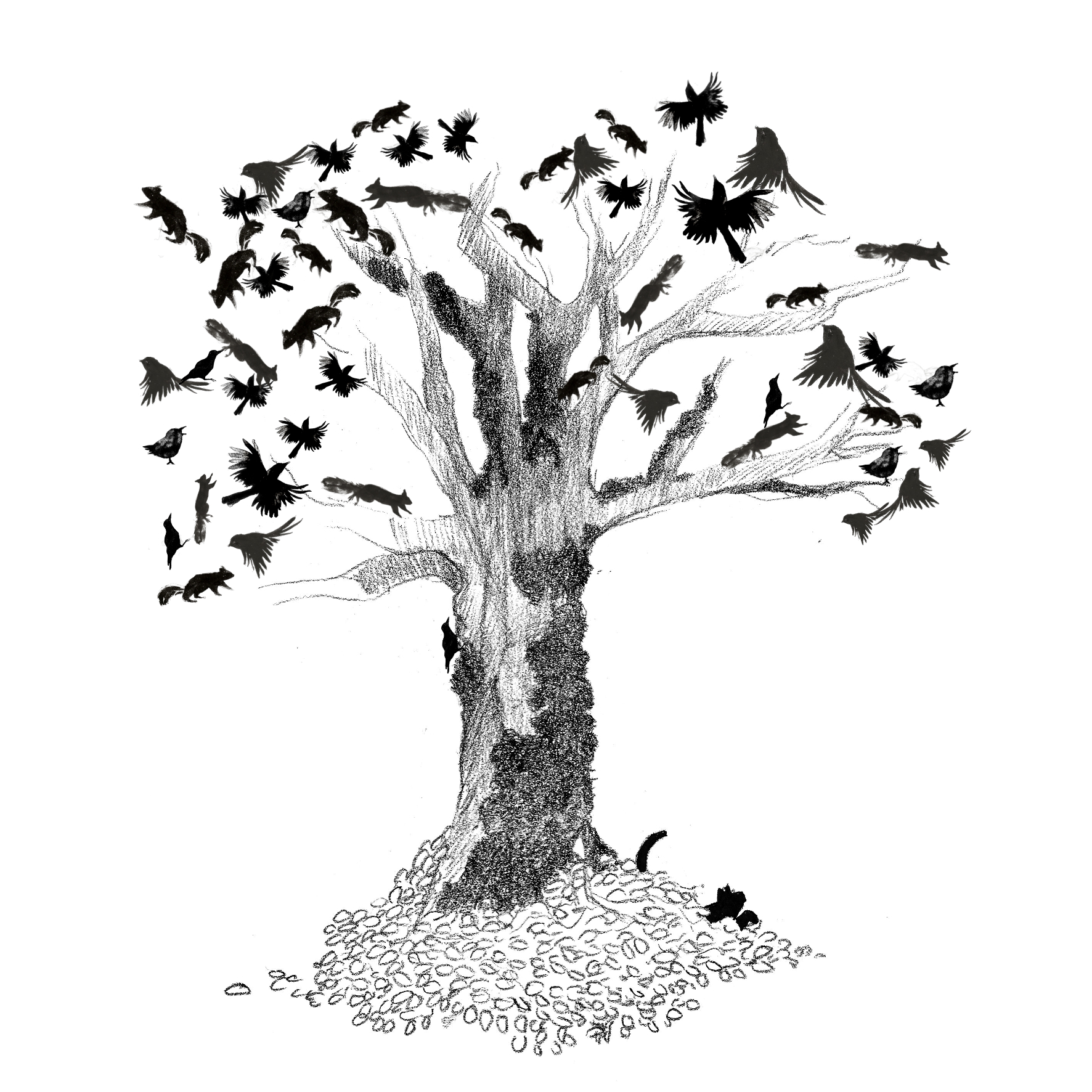 Moritz - illustration Marine Gauvain