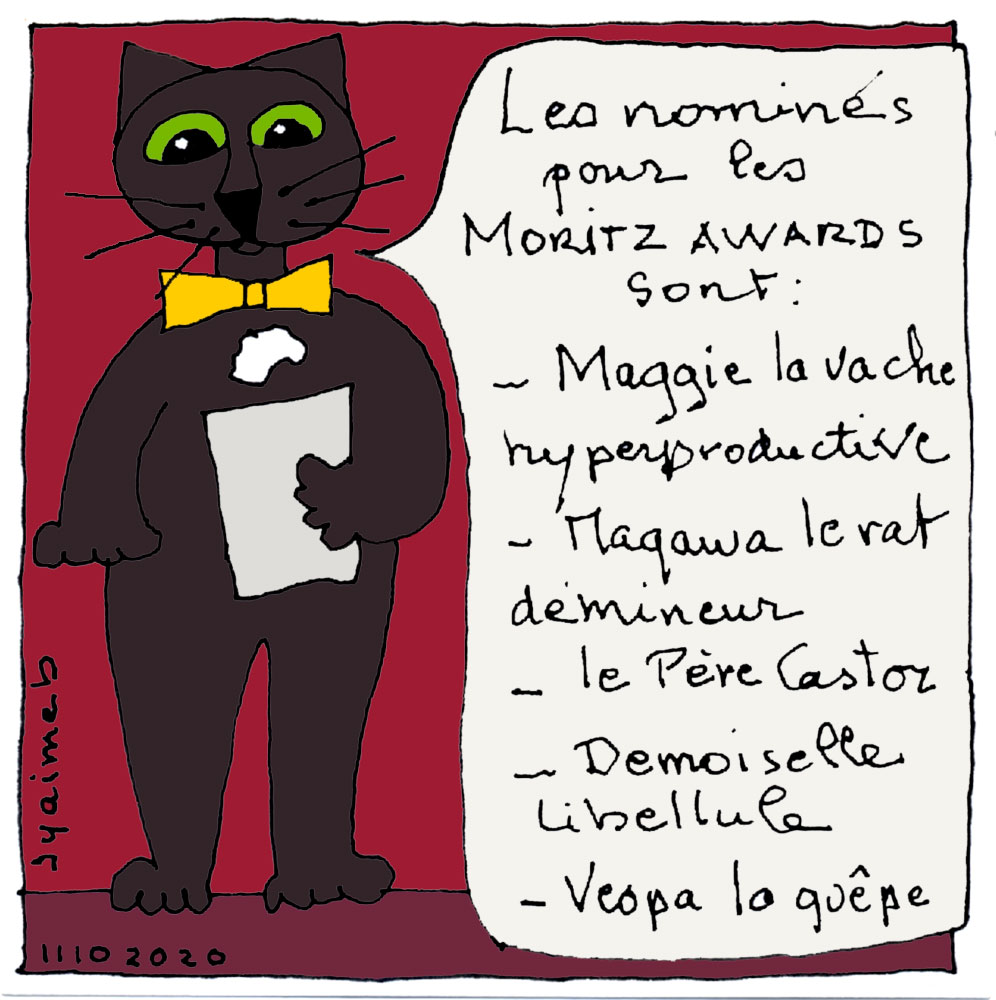 Les Moritz Awards