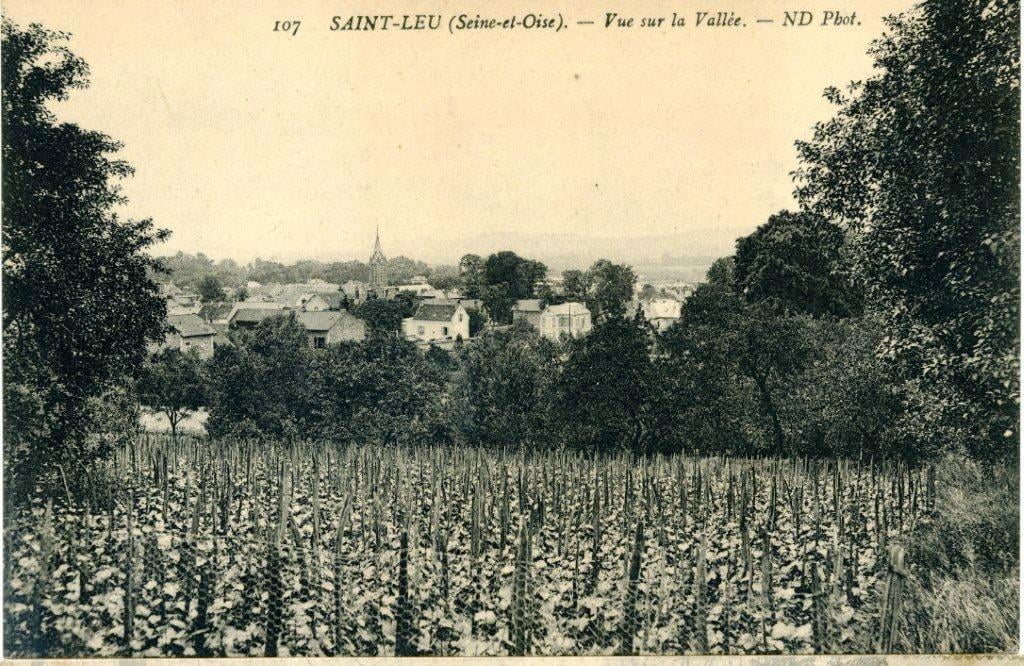 CP Vue sur la vallée (collection Gérard Tardif)