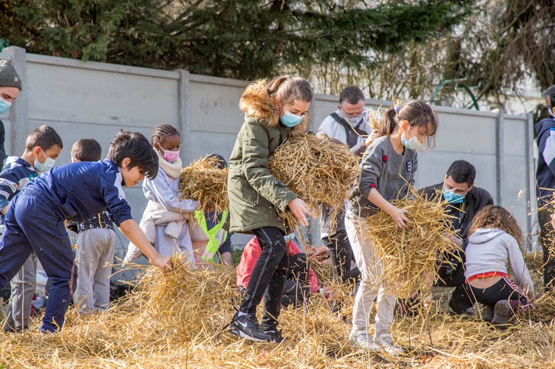 Plantation de la forêt urbaine à Sannois