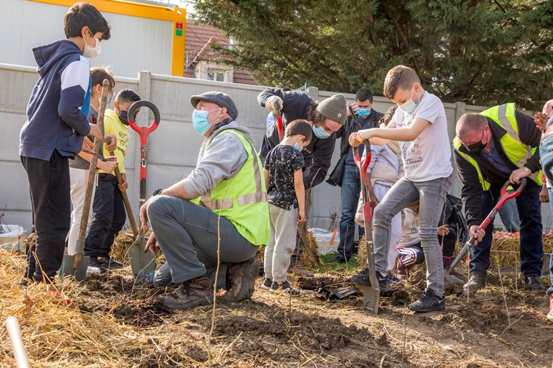 Plantation de la forêt urbaine à Sannois