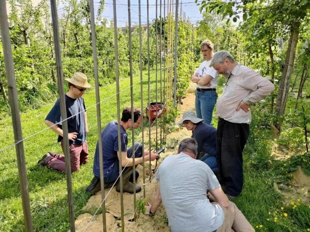 Croqueurs de pommes &agrave; Eaubonne