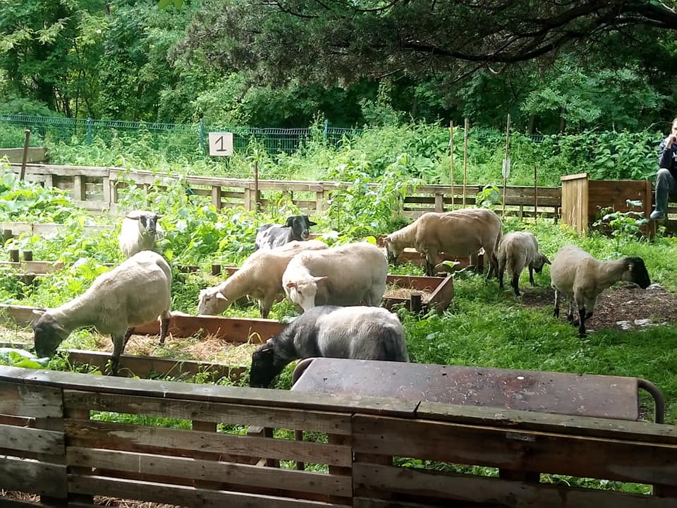 Ferme pédagogique de la Butte Pinson