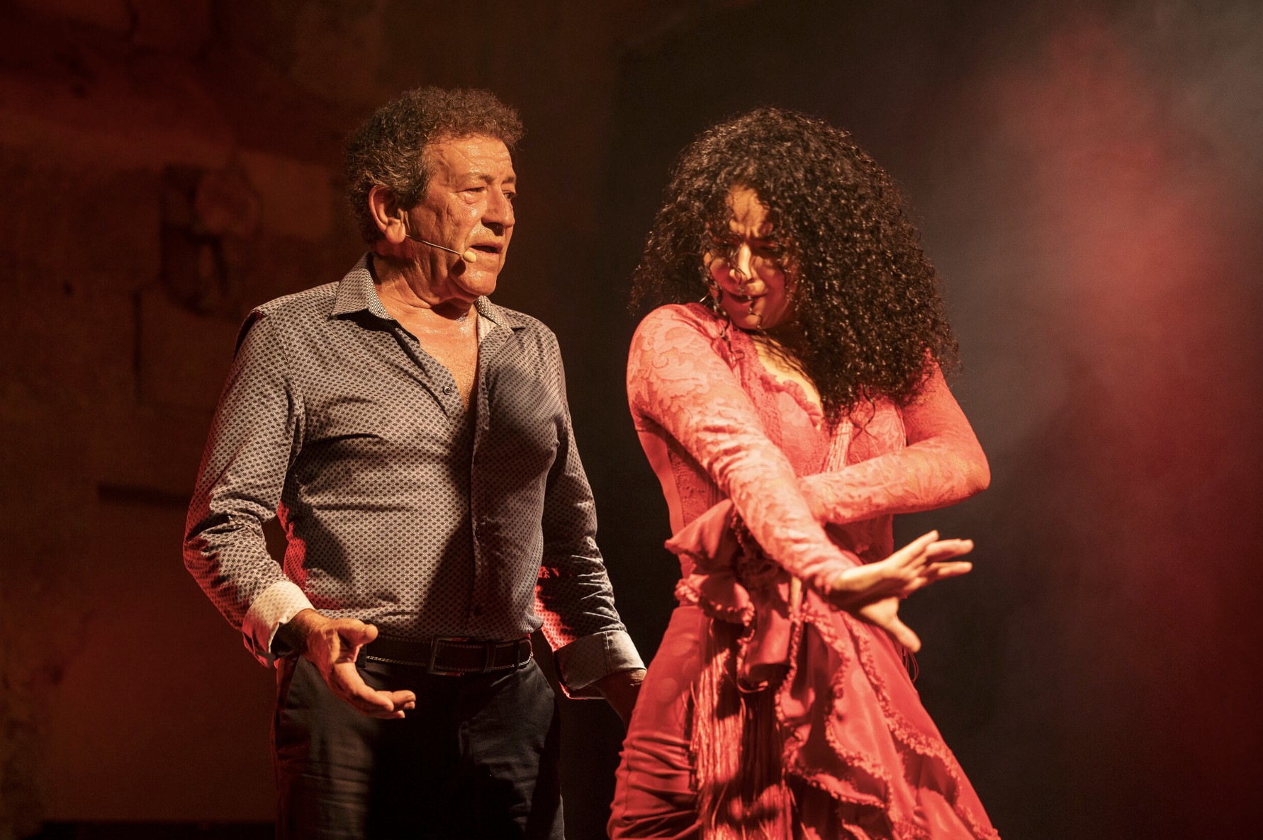 Flamenco vivo