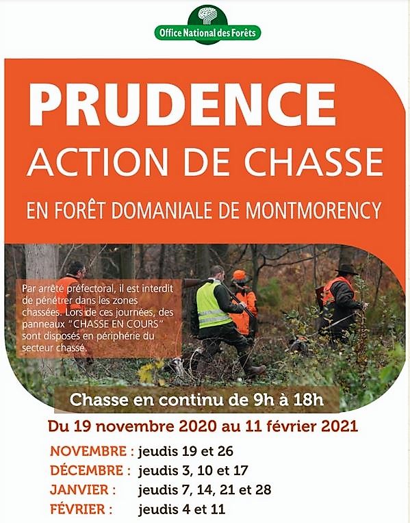 Action de chasse Forêt de Montmorency