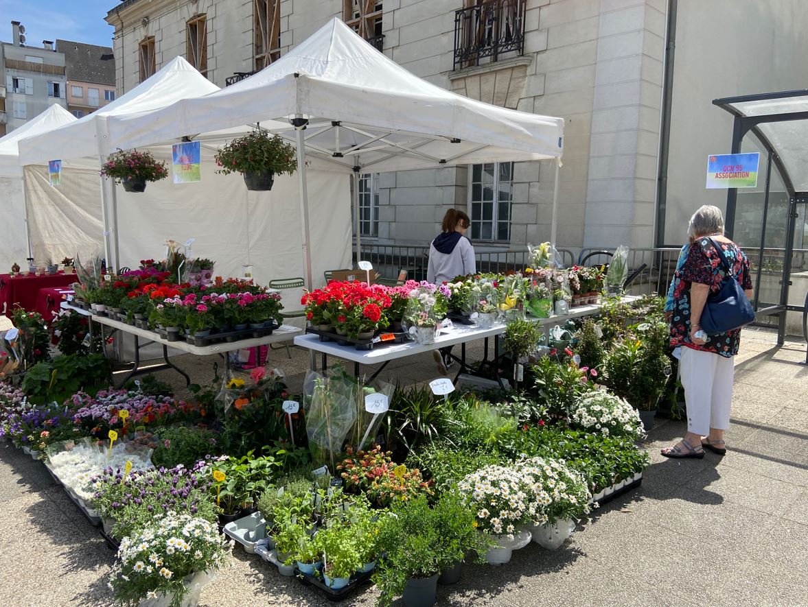 Le Printemps à Sannois - 2024 - photo de Mathieu Aucher