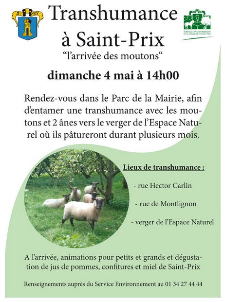 TRANSHUMANCE A SAINT-PRIX