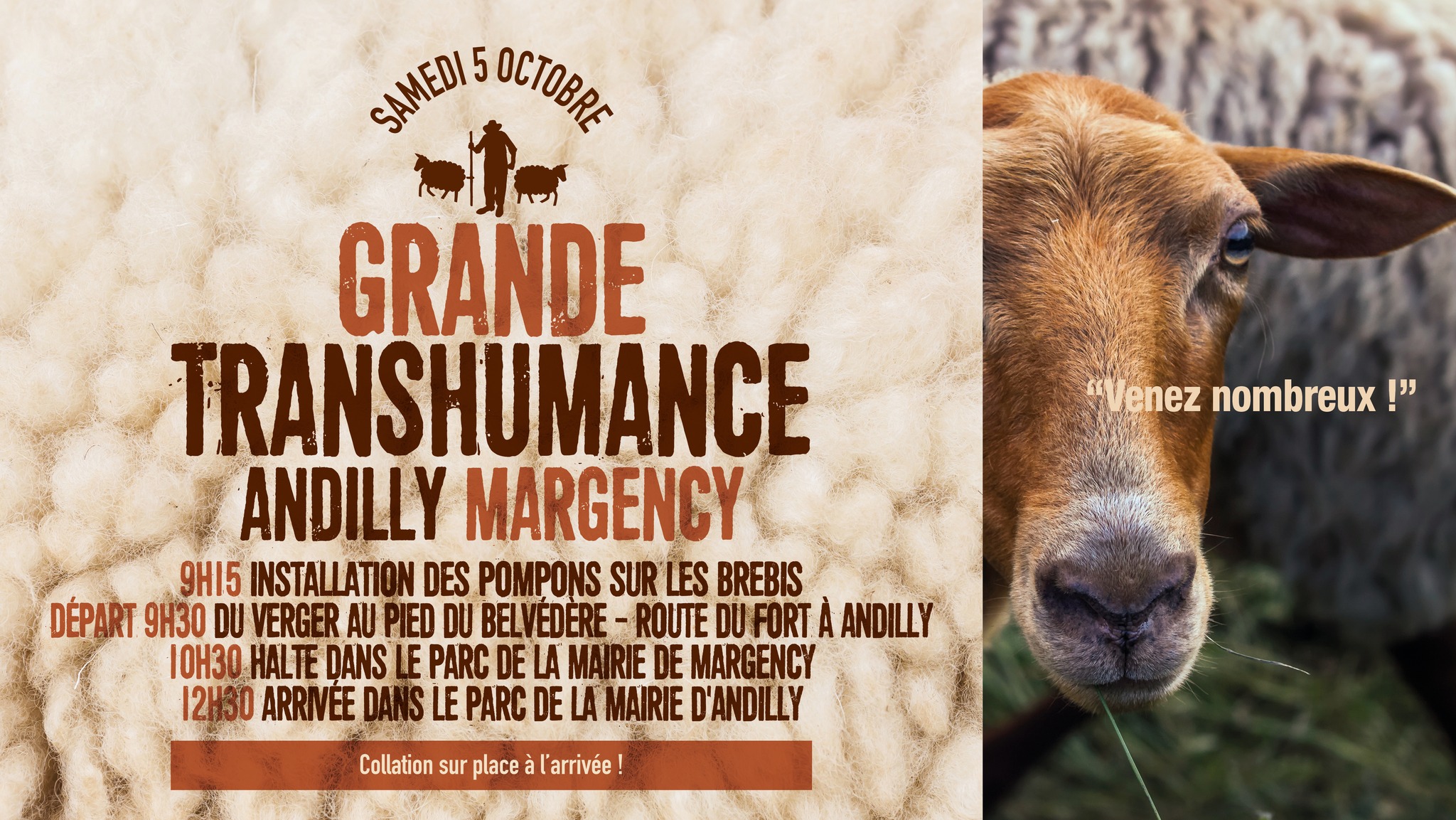 Transhumance 2024 - Andilly - Margency