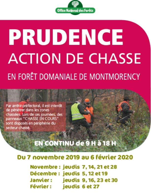 Actions de chasse en Forêt de Montmorency - 2019 - 2020