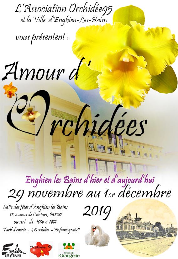 AMOUR D'ORCHIDEES à enghien - 2019