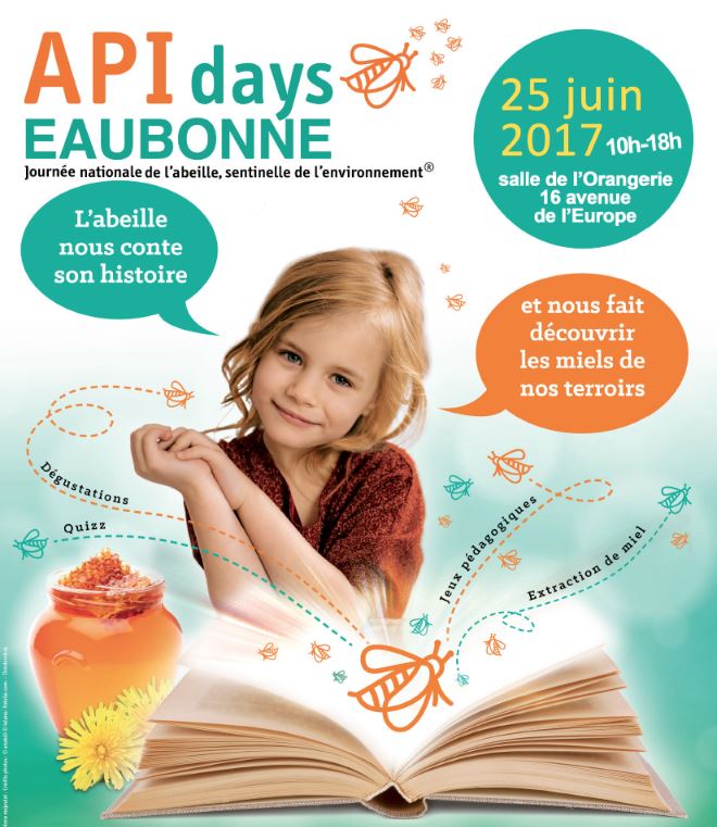 APIDAYS Eaubonne 25 juin 2017