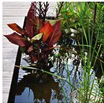atelier jardin 20 mai 2016