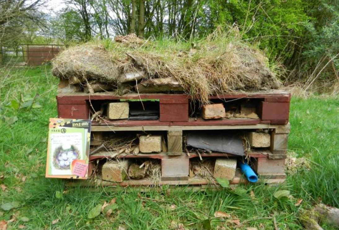 Photo issue site valdoisse.fr