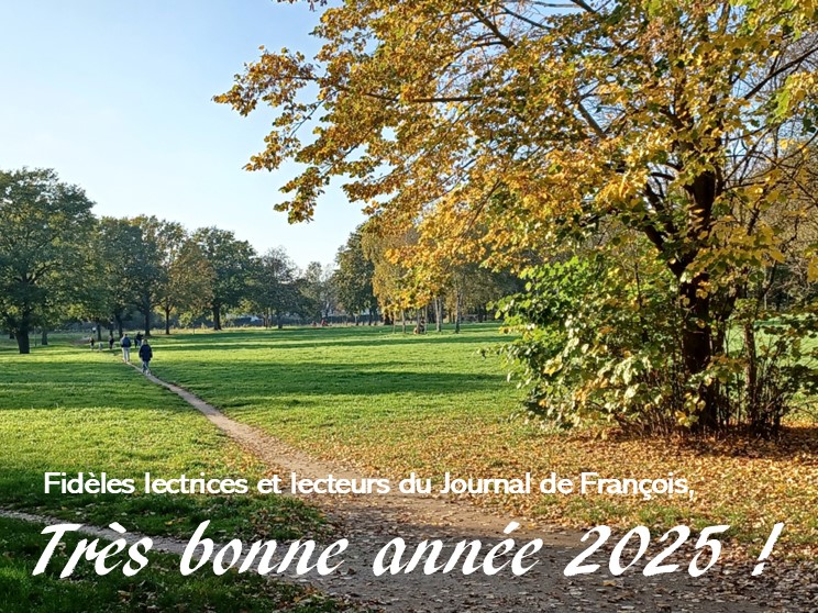 Bonne année 2025