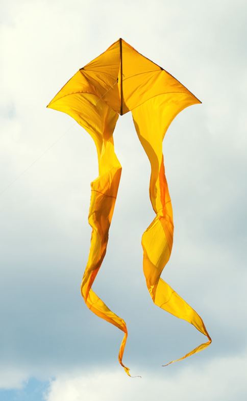 Cerf volant jaune