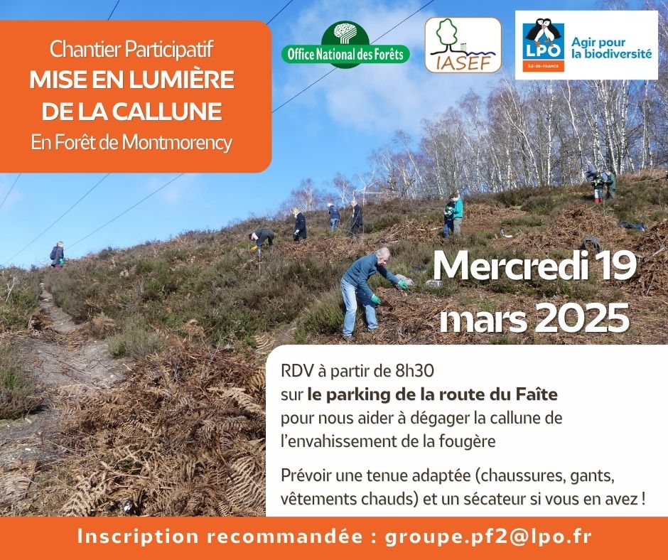 Chantier participatif - LPO - 19 mars 2025