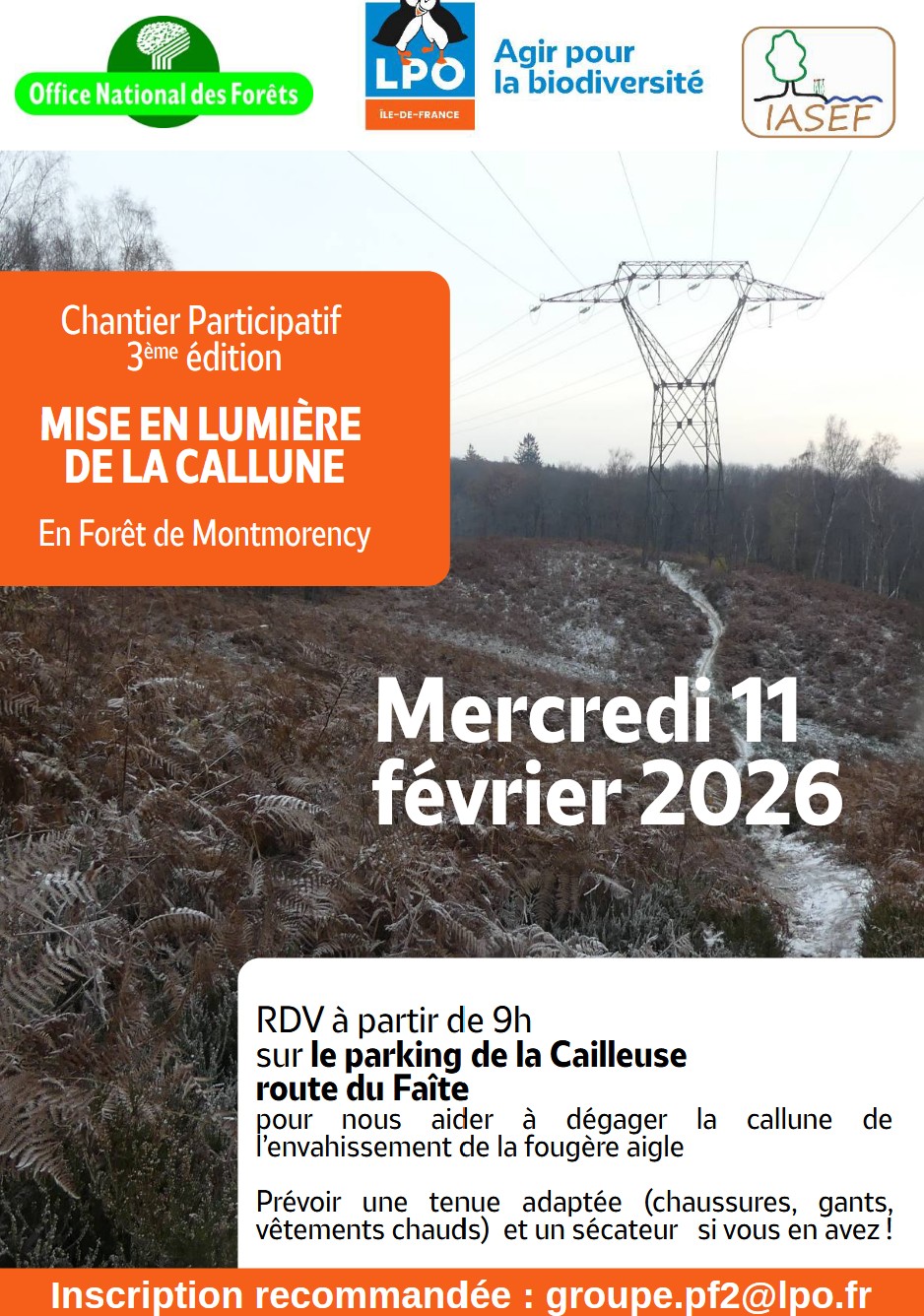 Chantier LPO For&ecirc;t de Montmorency - 11 f&eacute;vrier 2026