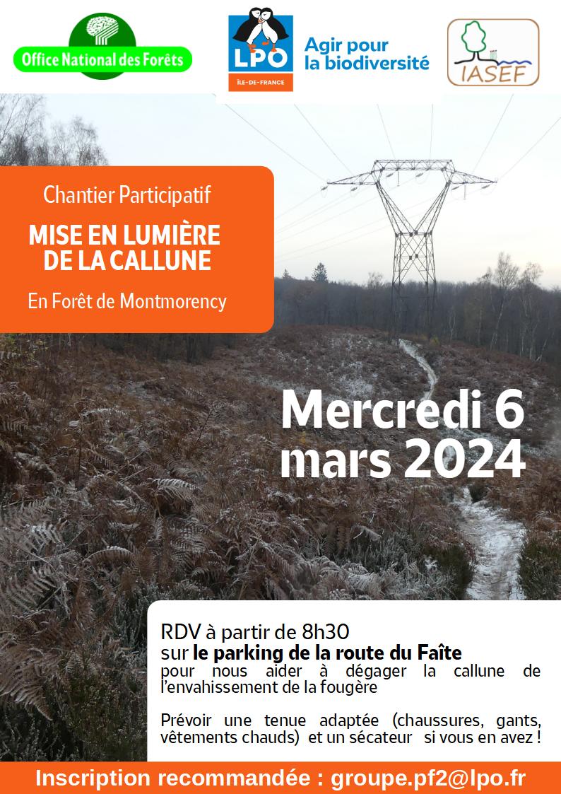 Chantier participatif LPO - 6 mars 2024