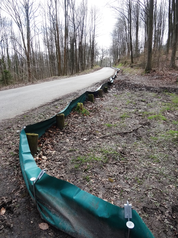 Crapaudrome de Saint-Prix