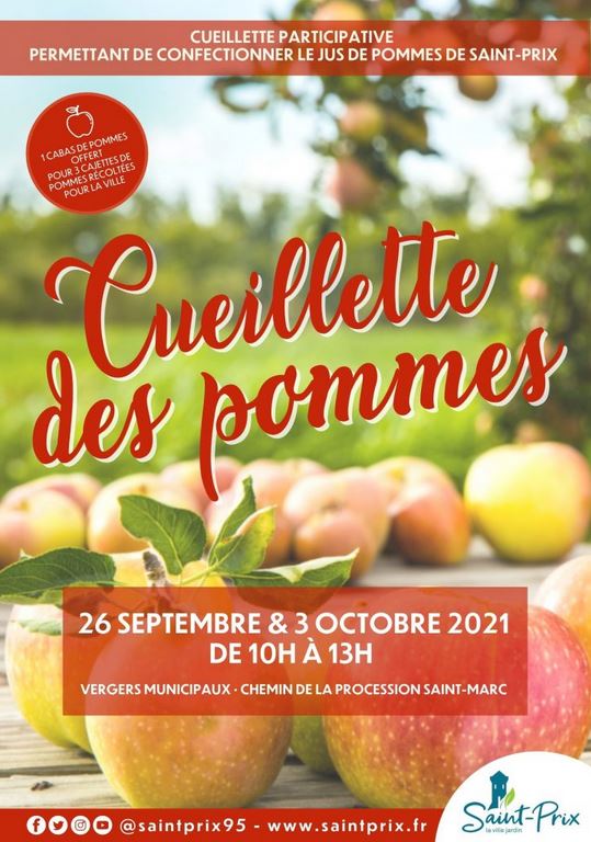 Cueillette des pommes à Saint-Prix