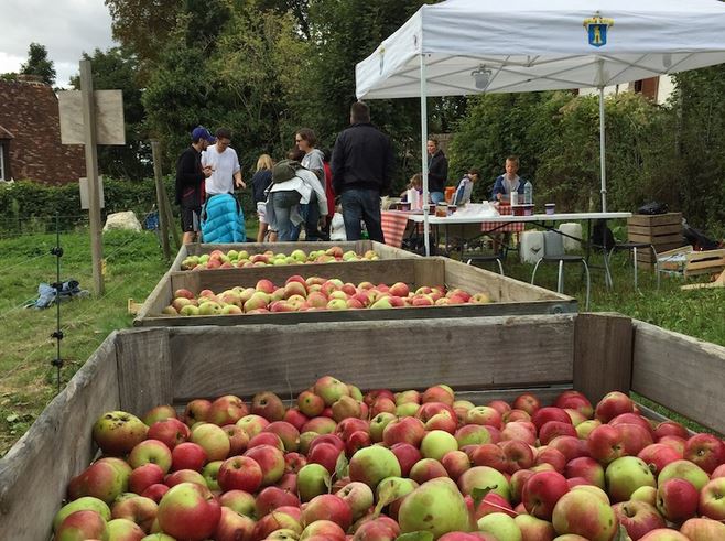 Cueillette des pommes à Saint-Prix (photo issue du site de la mairie de Saint-Prix)