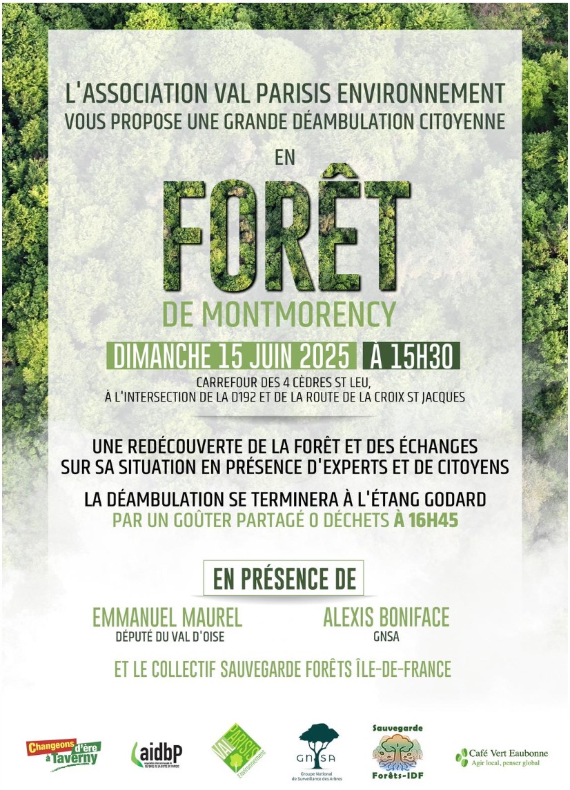 Déambulation citoyenne - 15 juin 2025 - Forêt de Montmorency