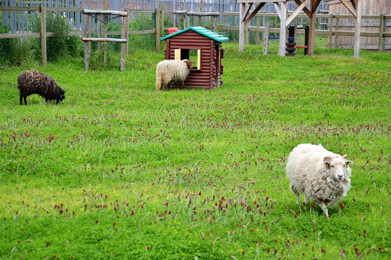 La Ferme Pedagogique D Ermont De Nouveau Ouverte A Tous