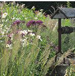 jardin à l'anglaise