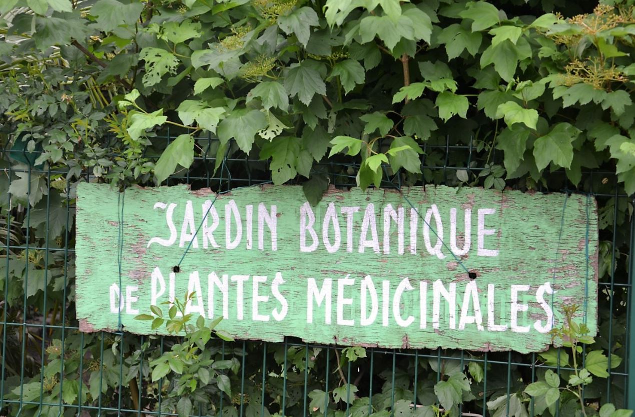 Jardin botanique de Sannois