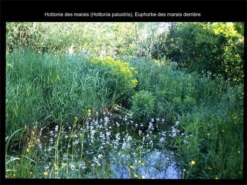 Jardin du naturaliste Olivier Tranchard