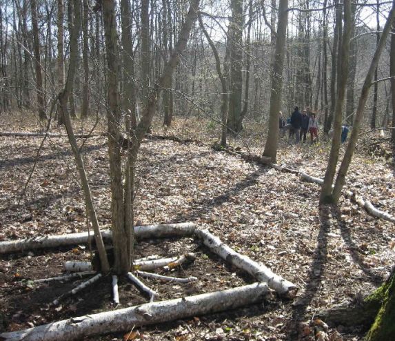ATELIER LAND ART - Forêt de Montmorency