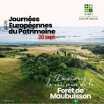 Trois visites guid&eacute;es pour d&eacute;couvrir la For&ecirc;t de Maubuisson, projet forestier d&rsquo;envergure&nbsp;!