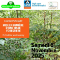 Une matinée dans la forêt de Montmorency au service de la biodiversité : inscrivez-vous vite !