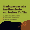 Madagascar à Montmorency : Chantal Ernoult vous accueille à la Jardinerie de curiosités Taffin !
