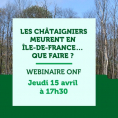 Les châtaigniers meurent en Île-de-France, que faire ? : l'ONF nous propose une visioconférence gratuite.  Inscrivez-vous vite !