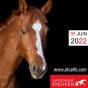 Journée départementale du cheval et du poney