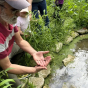 F&ecirc;te de la Nature : visite de l'&Icirc;lot Nature de Saint-Leu-la-For&ecirc;t