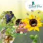 Au cœur de l'Espace Naturel Sensible  de Saint-Prix : cueillette de pommes, visite du rucher et découverte de la vigne.