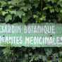 Rendez-vous aux jardins : le jardin botanique de Sannois