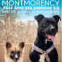 3e édition de Montmorency ville amie des animaux