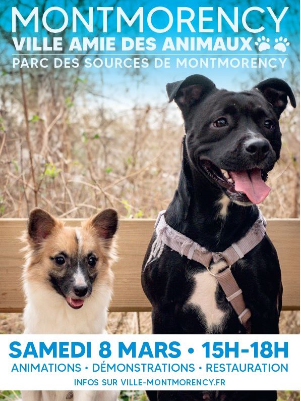 Montmorency ville amie des animaux - 2025