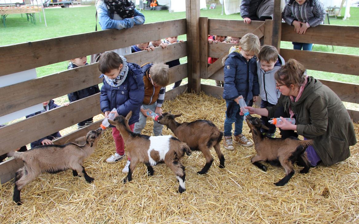 Naturelles 2019 - animaux de la ferme