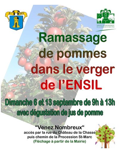 RAMASSAGE DE POMMES SAINT PRIX