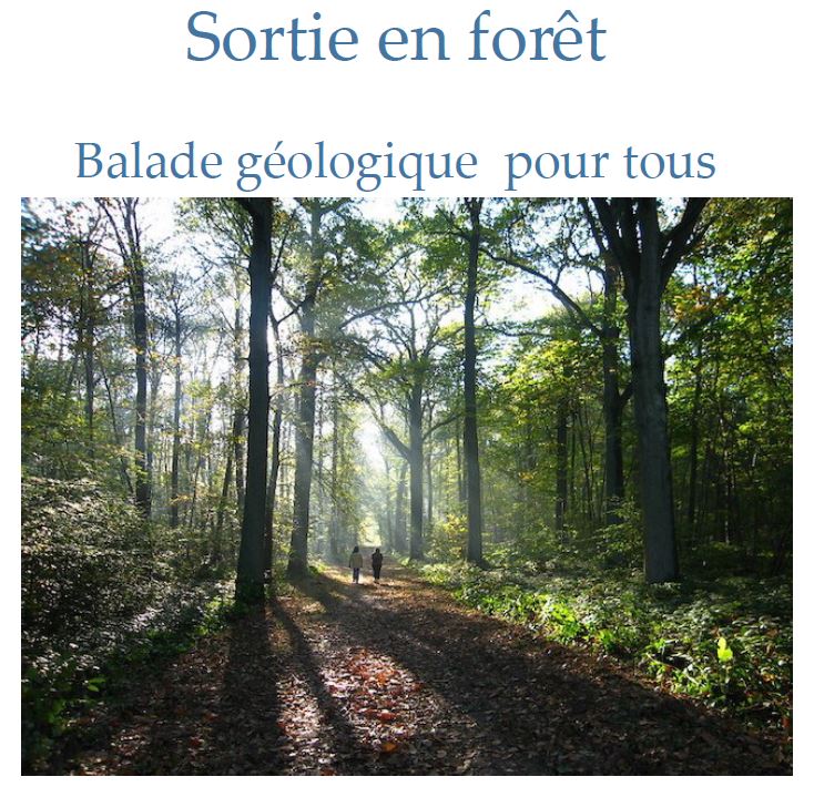 Sortie en Forêt - 1er juin 2024 - Chemin du Philosophe