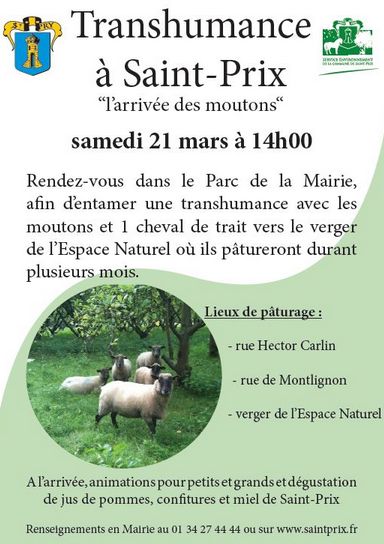 TRANSHUMANCE A SAINT-PRIX 2015