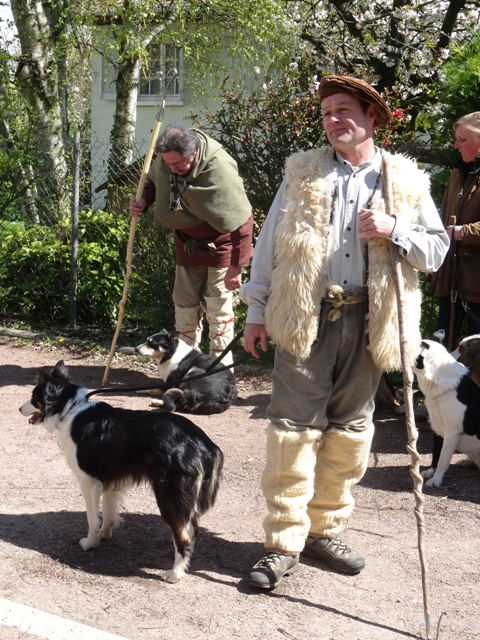 Transhumance à Saint-Prix