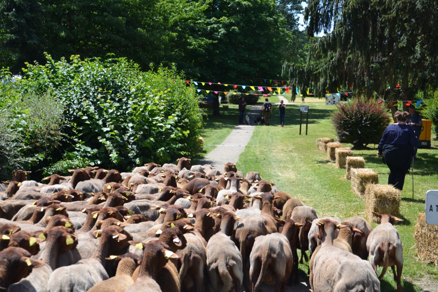 Transhumance 2018 Saint-Prix-Andilly