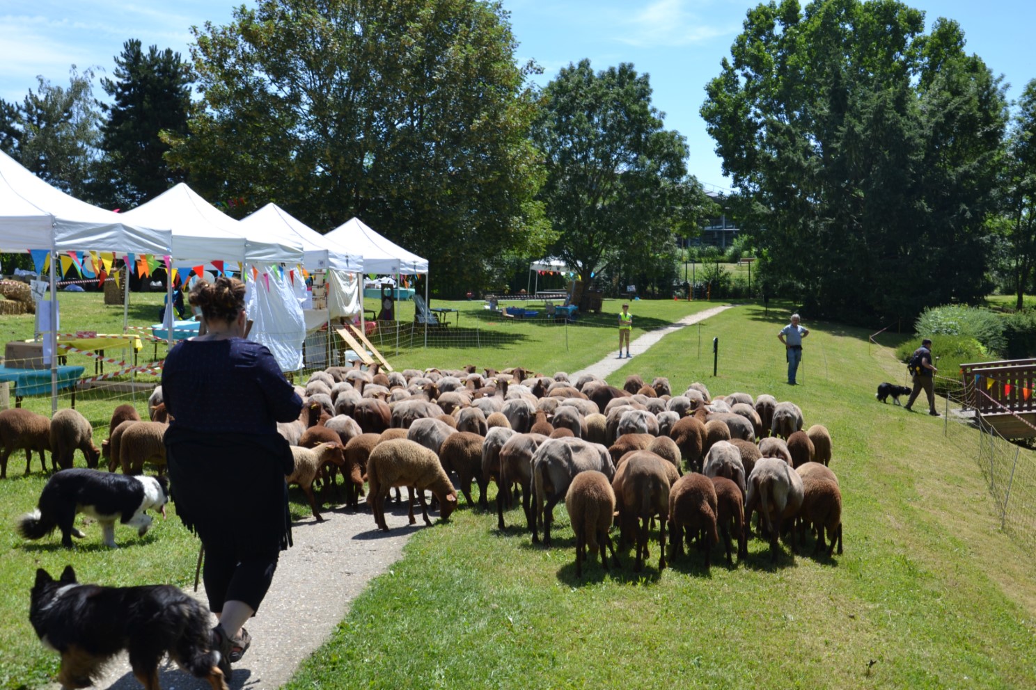 Transhumance 2018 Saint-Prix-Andilly